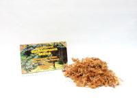 Sphagnum moha 