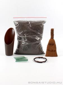 yamadori ulteto kozeg bonsai fold bonsaifold yamadori prebonsai es bonsai atultetesehez ultetesehez