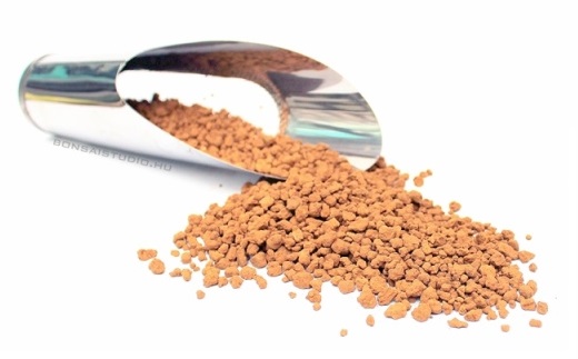 bonsai ulteto kozeg bonsai fold