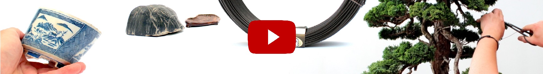 bonsai video film marczika bonsai studio erden