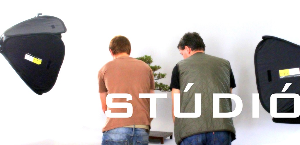 bonsai, bonsaj, prebonsai, bonsai alapanyag, bonsai eloanyag, vasarlas rendeles, ordering, buying, marczika bonsai studio, erd, hungary, yamadori bonsai kerteszet erden studio munka a marczika bonsai studioban