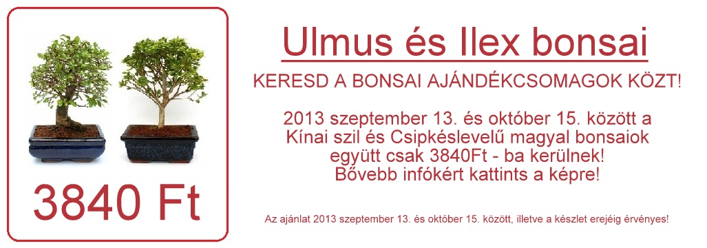 bonsai ajandek csomagok bonsai ajandek otletek bonsai vasarlasi lehetoseg a marczika bonsai studio webaruhaza bol